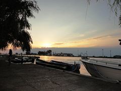 PLIMBARI IN DELTA 2013